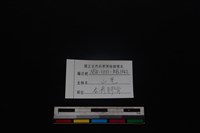 山羌骨藏品圖，第3張
