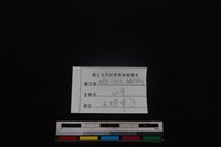 山羌骨藏品圖，第3張