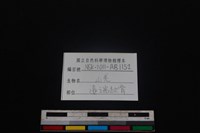 山羌骨藏品圖，第3張