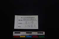 鹿科骨藏品圖，第3張