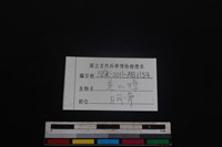 鹿科骨藏品圖，第3張