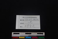 山羌骨藏品圖，第3張