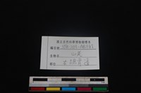 山羌骨藏品圖，第3張
