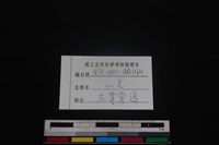 山羌骨藏品圖，第3張