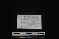 山羌骨藏品圖，第3張