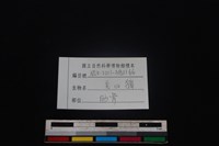 鹿科骨藏品圖，第3張