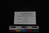 山羌骨藏品圖，第4張