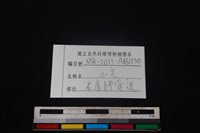 山羌骨藏品圖，第3張