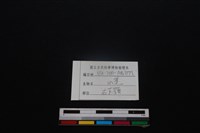 山羌骨藏品圖，第4張