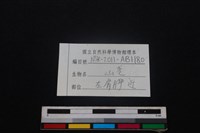 山羌骨藏品圖，第3張