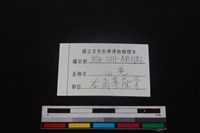 山羌骨藏品圖，第3張