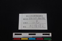 山羌骨藏品圖，第3張