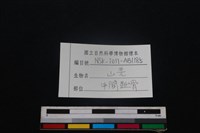 山羌骨藏品圖，第3張