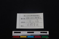 鹿科骨藏品圖，第3張