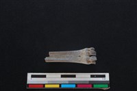 山羌骨藏品圖，第2張