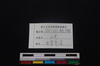 山羌骨藏品圖，第3張