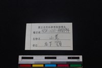 山羌骨藏品圖，第4張