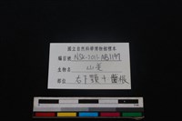 山羌骨藏品圖，第4張