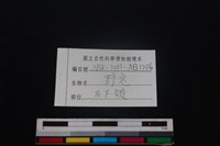 野兔骨藏品圖，第4張