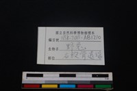 野兔骨藏品圖，第3張