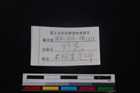 野兔骨藏品圖，第3張