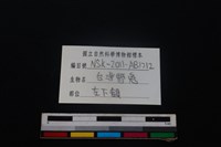 野兔骨藏品圖，第4張