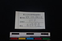 野兔骨藏品圖，第3張