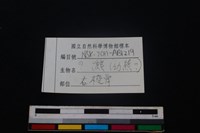食肉目骨藏品圖，第3張