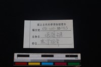 環頸雉骨藏品圖，第3張