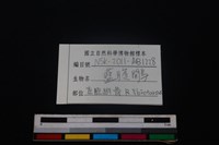 藍腹鷴骨藏品圖，第3張