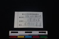 環頸雉骨藏品圖，第4張