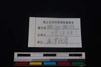 環頸雉骨藏品圖，第3張