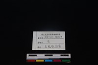梅花鹿骨藏品圖，第3張