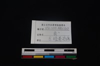 梅花鹿骨藏品圖，第3張