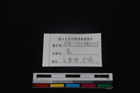 梅花鹿骨藏品圖，第3張