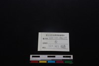 梅花鹿骨藏品圖，第3張