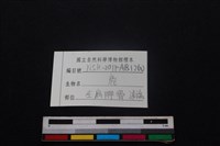 梅花鹿骨藏品圖，第3張