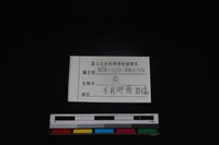 梅花鹿骨藏品圖，第4張