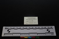 梅花鹿骨藏品圖，第3張