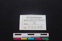 梅花鹿骨藏品圖，第3張