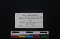 梅花鹿骨藏品圖，第3張