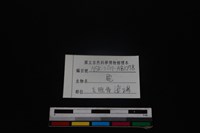 梅花鹿骨藏品圖，第3張