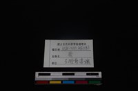 梅花鹿骨藏品圖，第3張