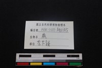 梅花鹿骨藏品圖，第4張