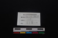 山羌骨藏品圖，第4張