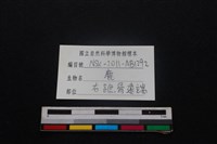 梅花鹿骨藏品圖，第3張