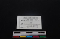 梅花鹿骨藏品圖，第3張