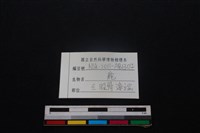 梅花鹿骨藏品圖，第3張