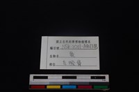 梅花鹿骨藏品圖，第3張