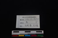 梅花鹿骨藏品圖，第3張